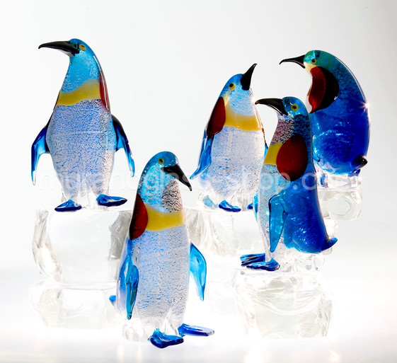 Pinguino (composizione), Gruppo di pinguini