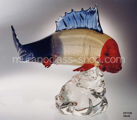 Pesce testa rossa, Pesce testa rossa
