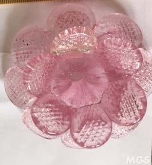 Fiori doppi, Fiore doppio in colore rosa
