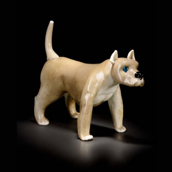 Amstaf, Amstaff colore grigio lucido