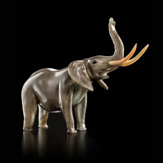 Elefante , Elefante grigio lucido