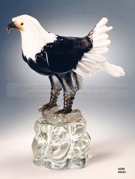 Aquila americana, Aquila americana su roccia