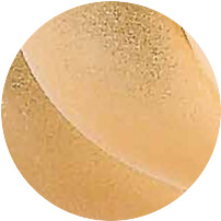 Ambra Antico
